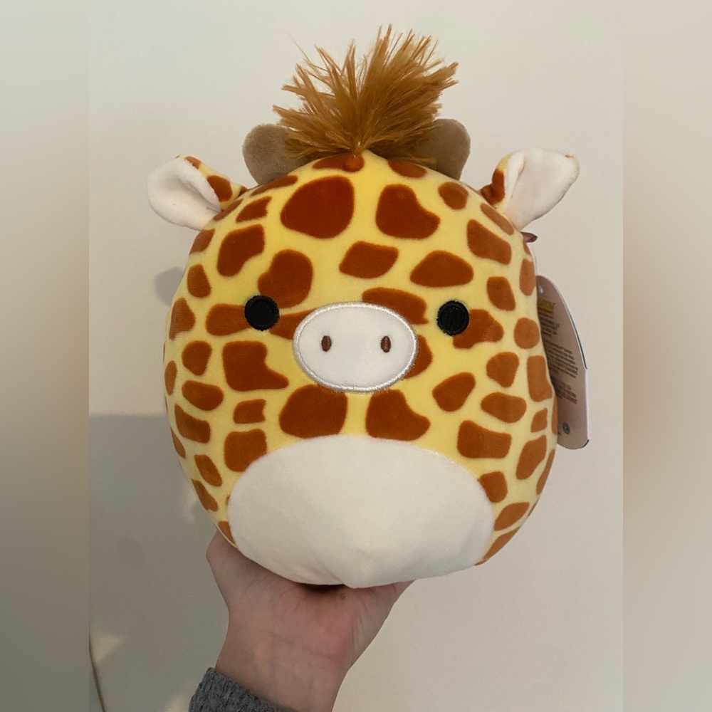 8” Gary squishmallow!
